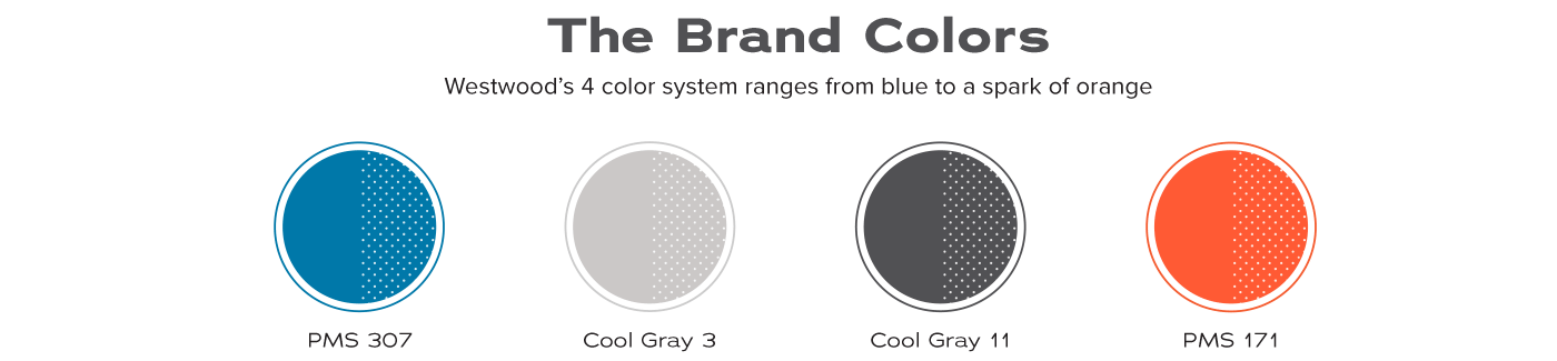 identity color palette